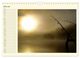 Thumbnail-11