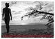 Thumbnail-12