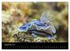 Thumbnail-13