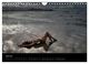 Thumbnail-9