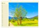 Thumbnail-8