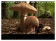 Thumbnail-9