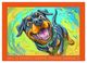 Thumbnail-9