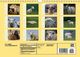 Thumbnail-10