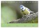 Thumbnail-8