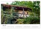 Thumbnail-12