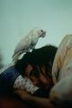 Thumbnail-2