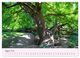 Thumbnail-9