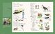 Thumbnail-3