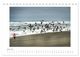 Thumbnail-11