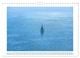 Thumbnail-11