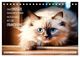 Thumbnail-8