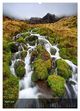 Thumbnail-9