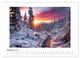 Thumbnail-14