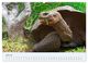 Thumbnail-9