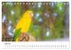 Thumbnail-11