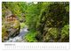 Thumbnail-11