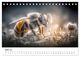 Thumbnail-8