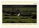 Thumbnail-11