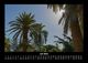 Thumbnail-11