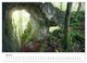 Thumbnail-11