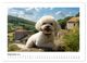 Thumbnail-11