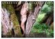 Thumbnail-12