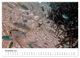 Thumbnail-12