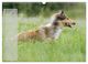 Thumbnail-10