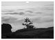 Thumbnail-11