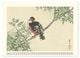 Thumbnail-11