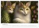 Thumbnail-12