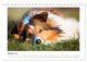 Thumbnail-12