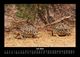 Thumbnail-11