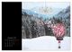 Thumbnail-14