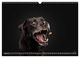 Thumbnail-11