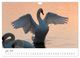 Thumbnail-9