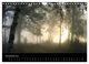 Thumbnail-13