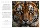 Thumbnail-14