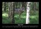 Thumbnail-12