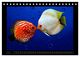 Thumbnail-12