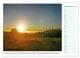 Thumbnail-13