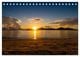 Thumbnail-9