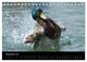 Thumbnail-14