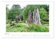 Thumbnail-8