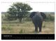 Thumbnail-14