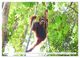 Thumbnail-12