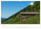 Thumbnail-12