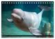 Thumbnail-10