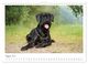 Thumbnail-10